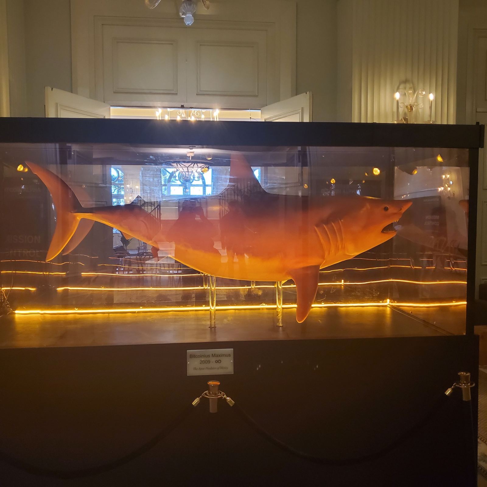 The Bitcoin Alpha shark